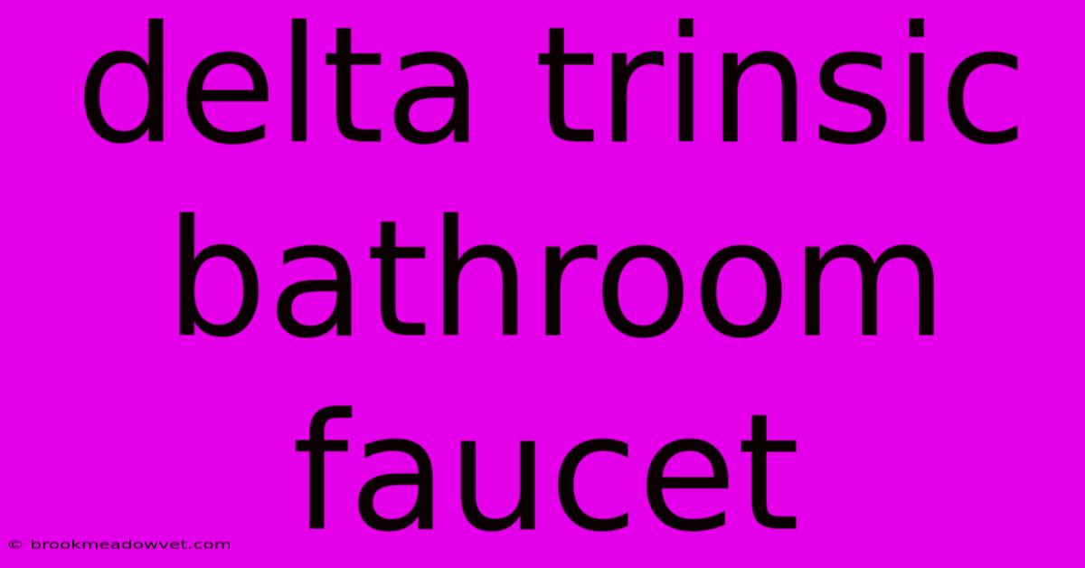 Delta Trinsic Bathroom Faucet