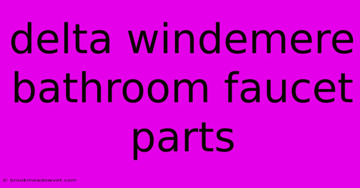 Delta Windemere Bathroom Faucet Parts