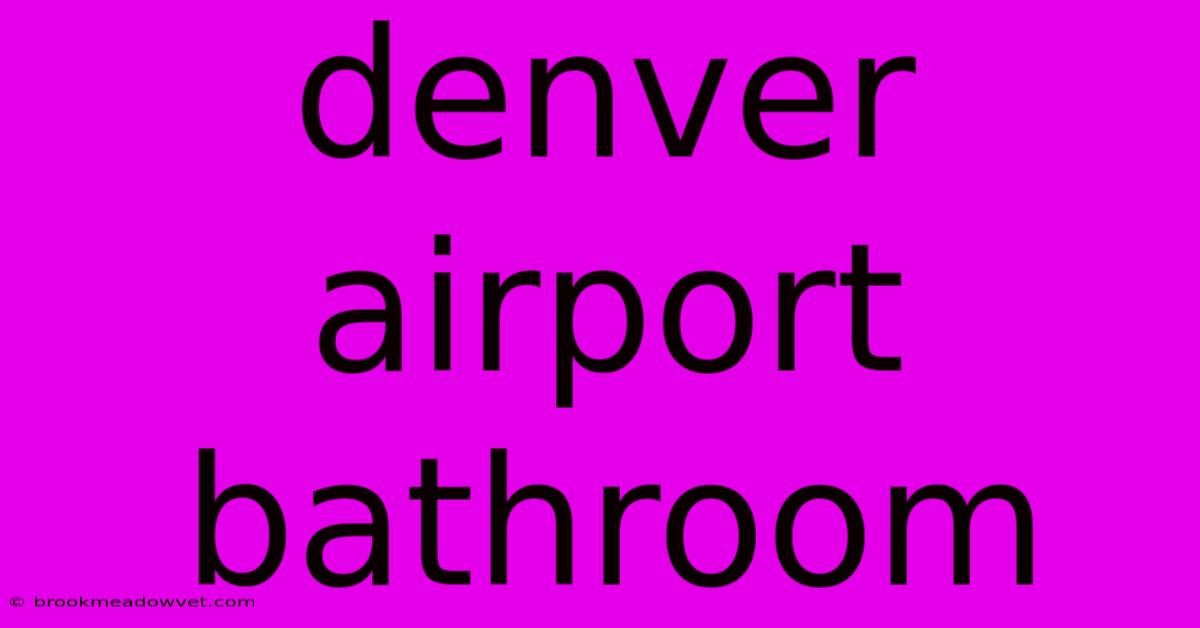 Denver Airport Bathroom