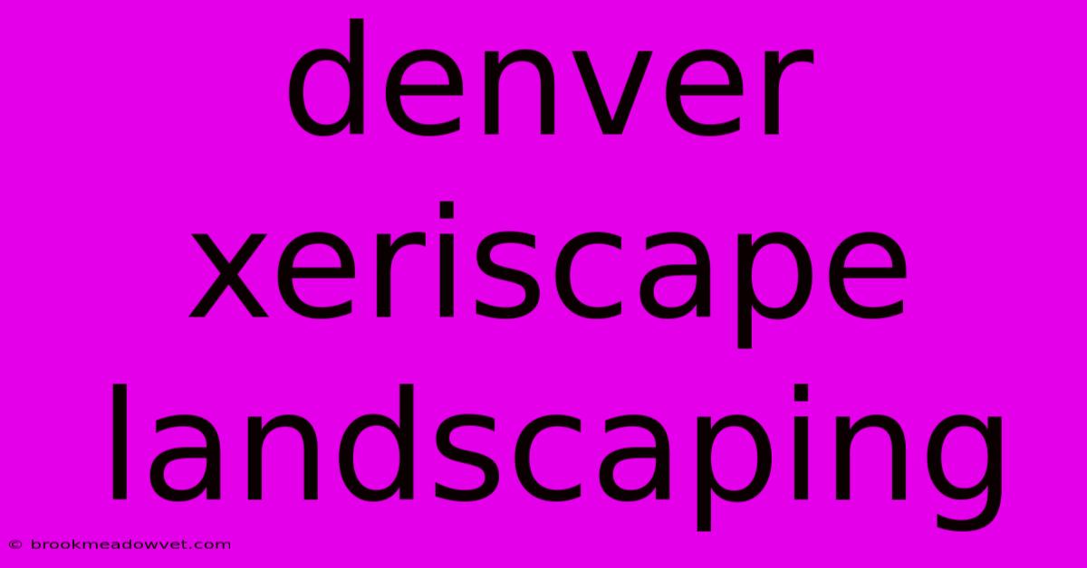 Denver Xeriscape Landscaping