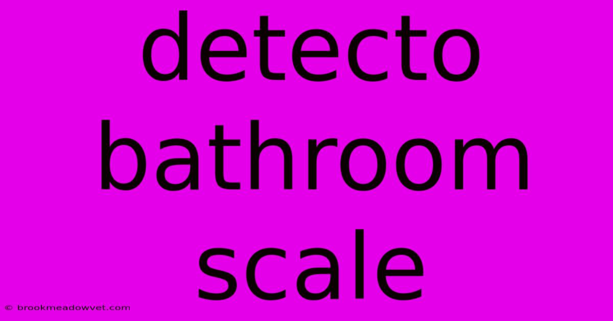 Detecto Bathroom Scale