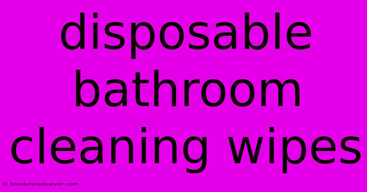 Disposable Bathroom Cleaning Wipes