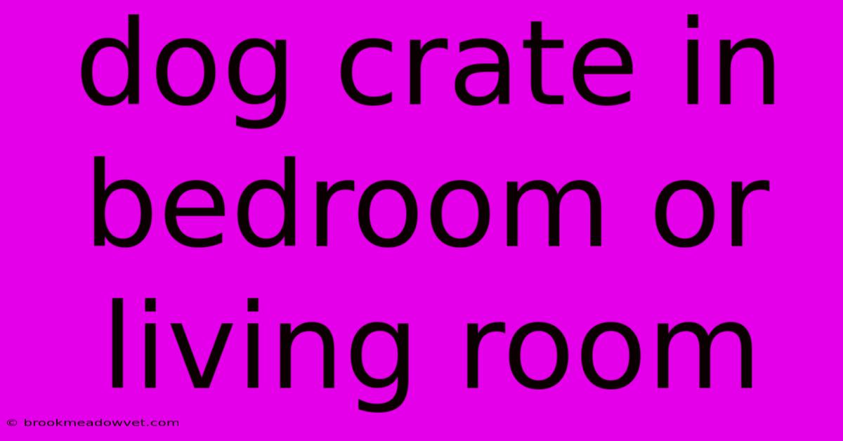 Dog Crate In Bedroom Or Living Room