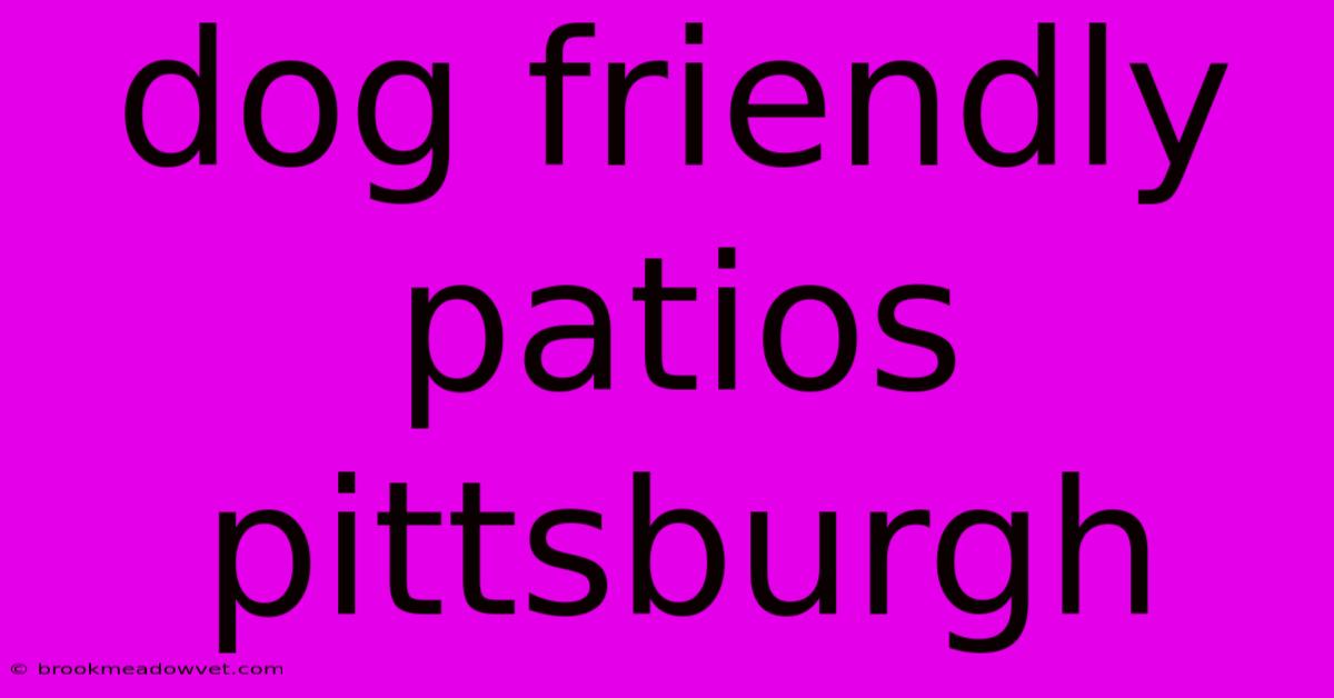 Dog Friendly Patios Pittsburgh