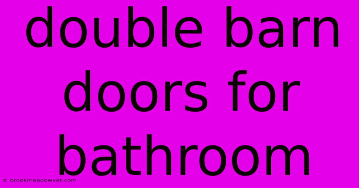 Double Barn Doors For Bathroom