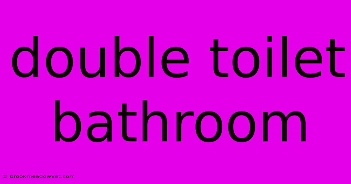 Double Toilet Bathroom