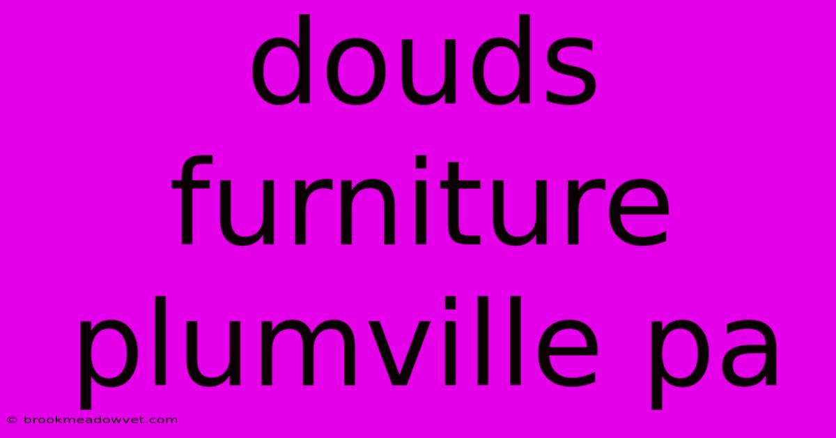 Douds Furniture Plumville Pa