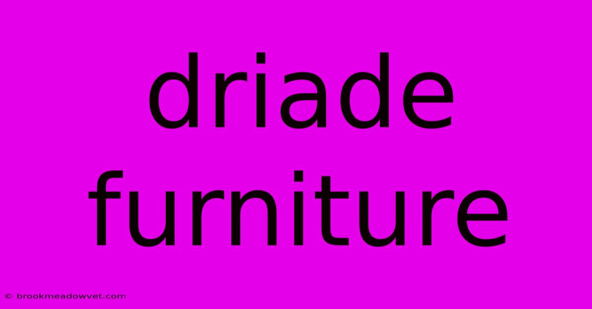 Driade Furniture