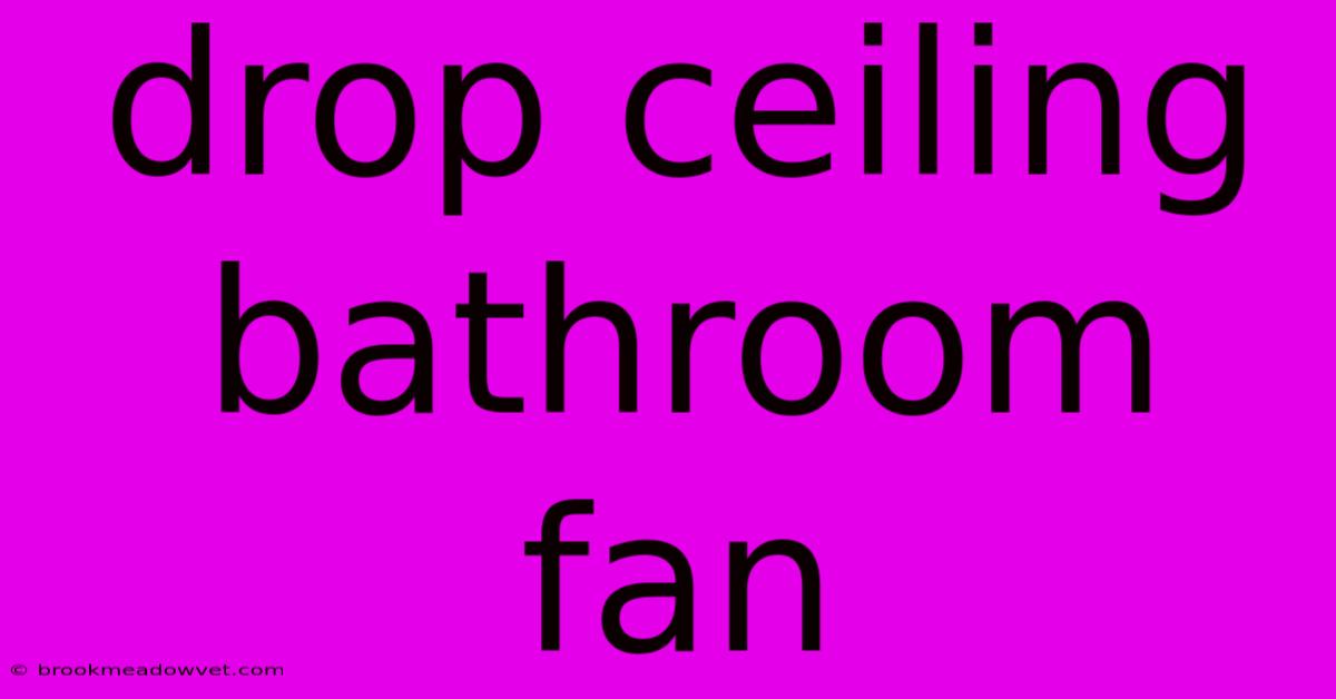 Drop Ceiling Bathroom Fan