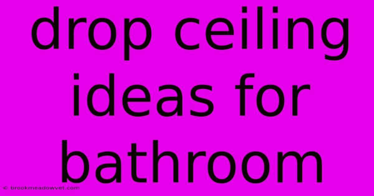 Drop Ceiling Ideas For Bathroom