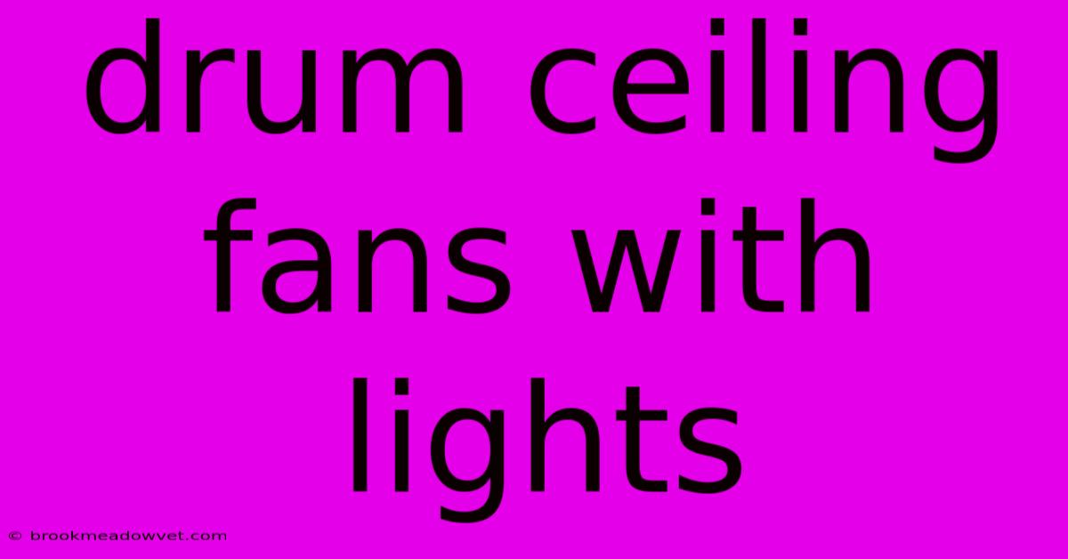 Drum Ceiling Fans With Lights