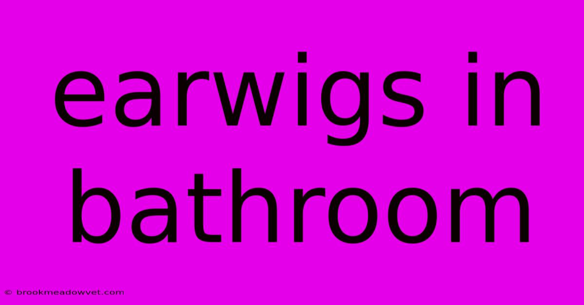 Earwigs In Bathroom