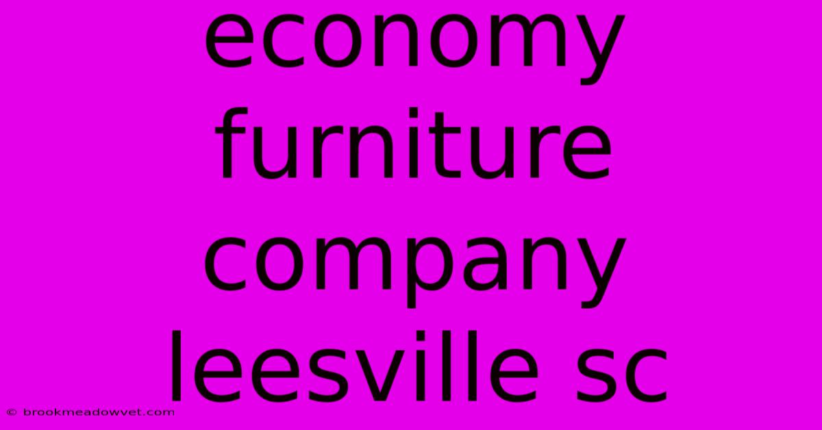 Economy Furniture Company Leesville Sc