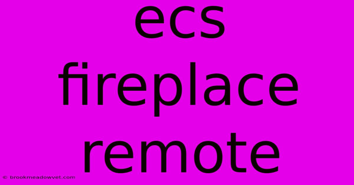 Ecs Fireplace Remote