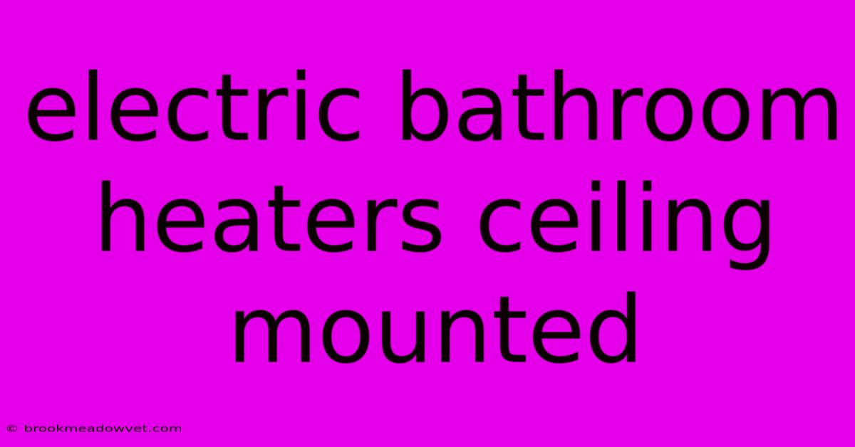 Electric Bathroom Heaters Ceiling Mounted