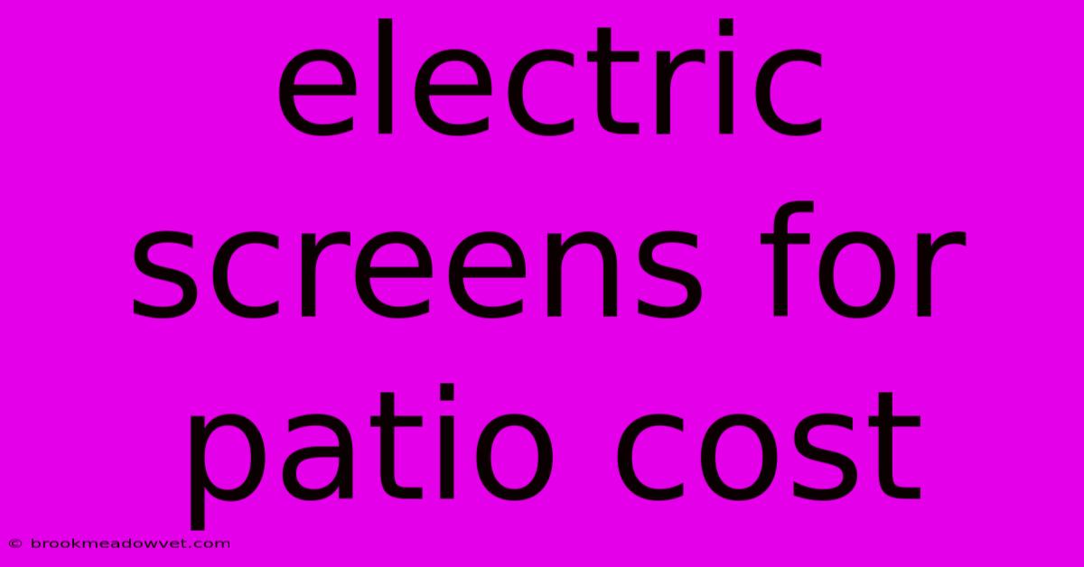 Electric Screens For Patio Cost