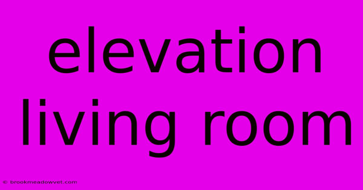 Elevation Living Room