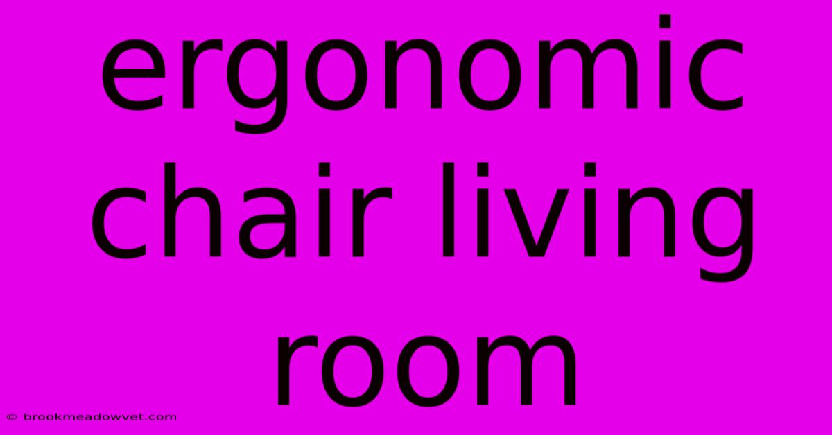 Ergonomic Chair Living Room