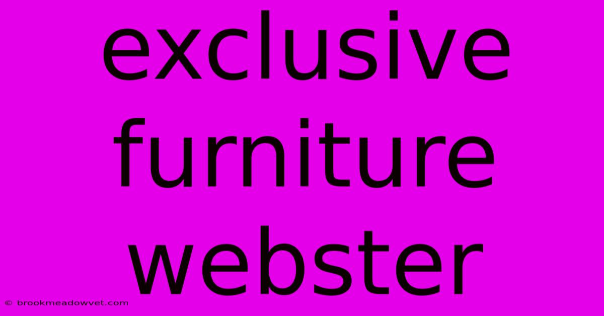 Exclusive Furniture Webster