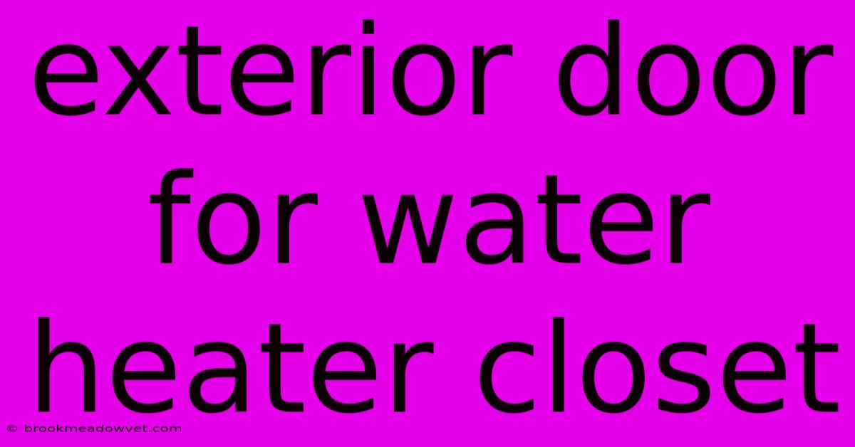 Exterior Door For Water Heater Closet