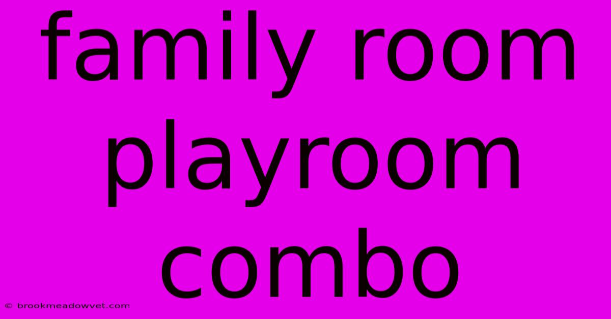 Family Room Playroom Combo