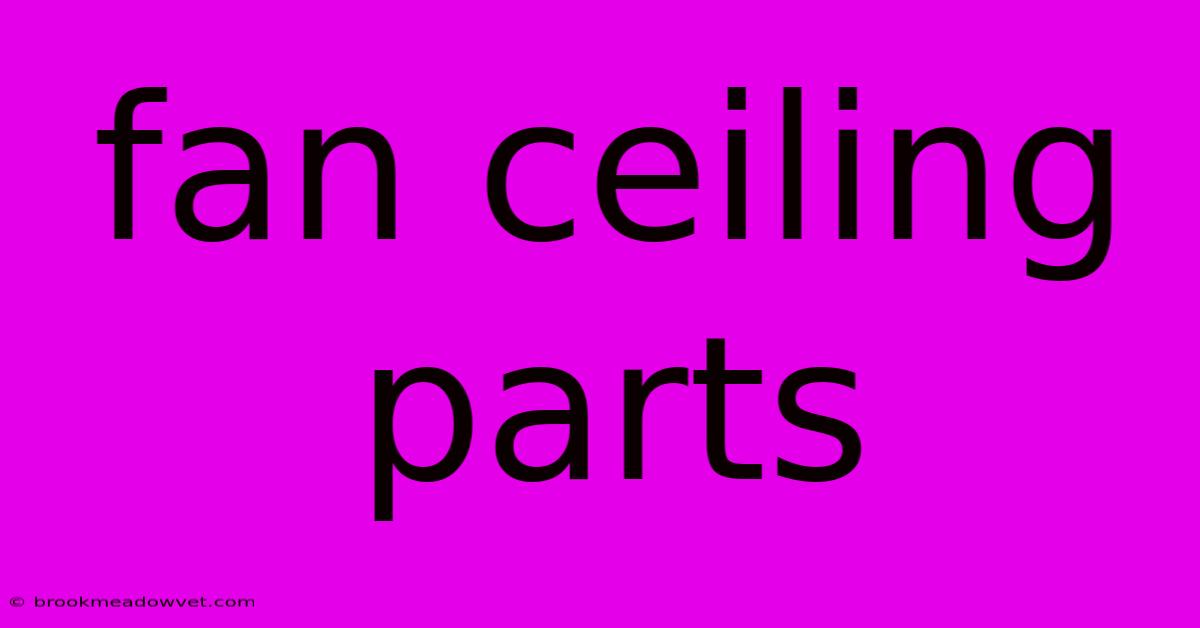 Fan Ceiling Parts