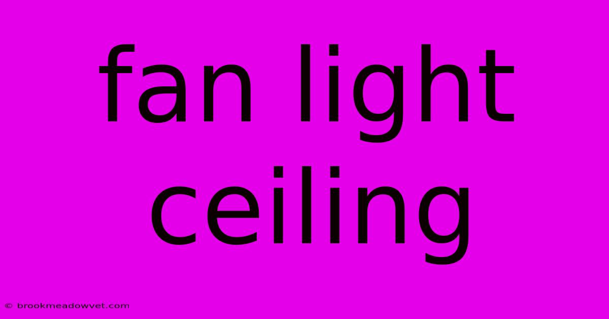 Fan Light Ceiling