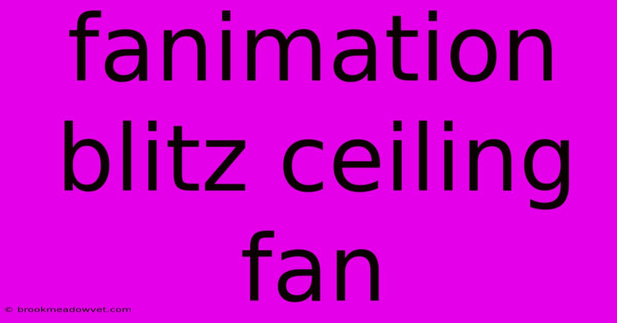 Fanimation Blitz Ceiling Fan