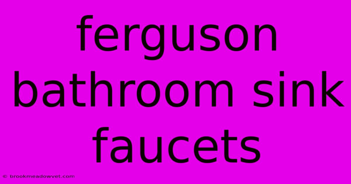 Ferguson Bathroom Sink Faucets