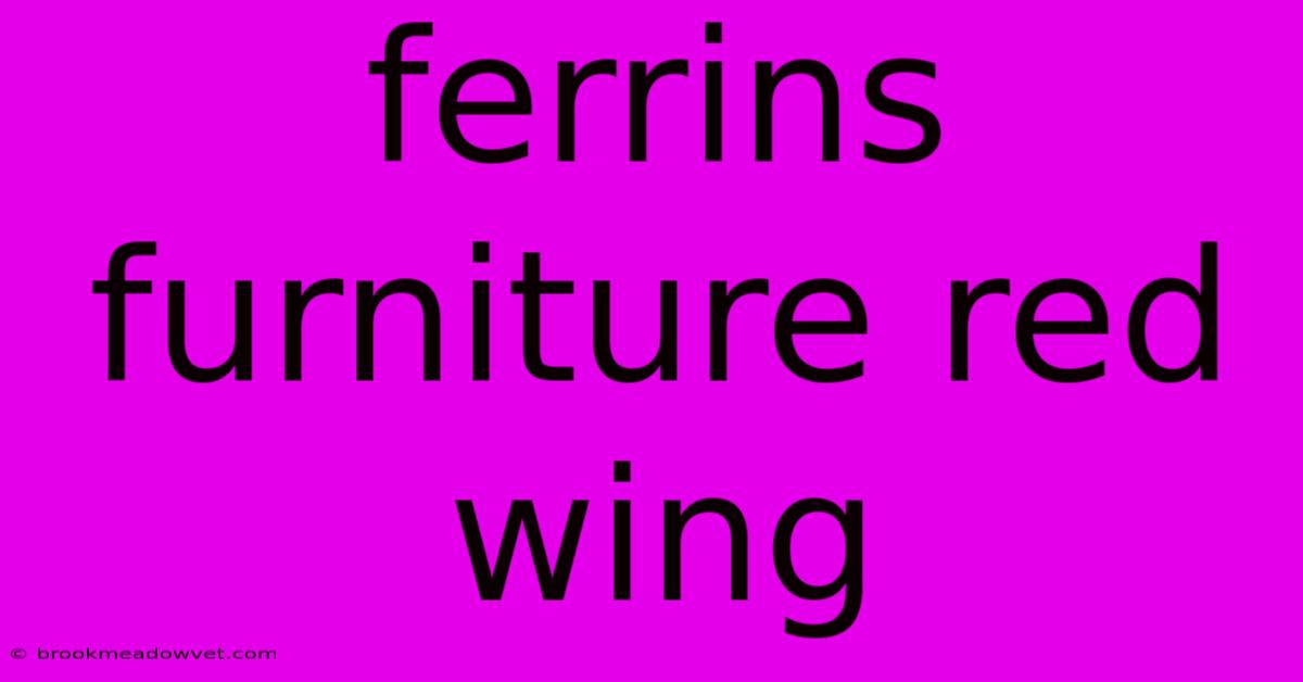 Ferrins Furniture Red Wing