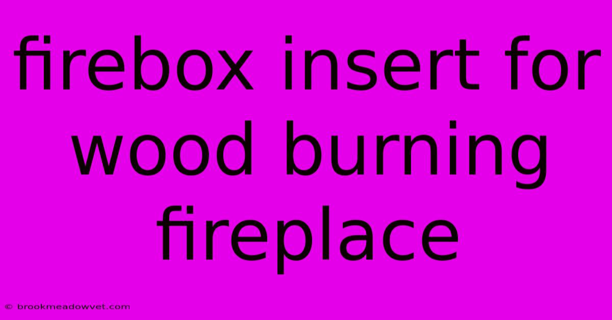 Firebox Insert For Wood Burning Fireplace