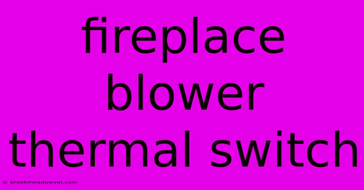 Fireplace Blower Thermal Switch