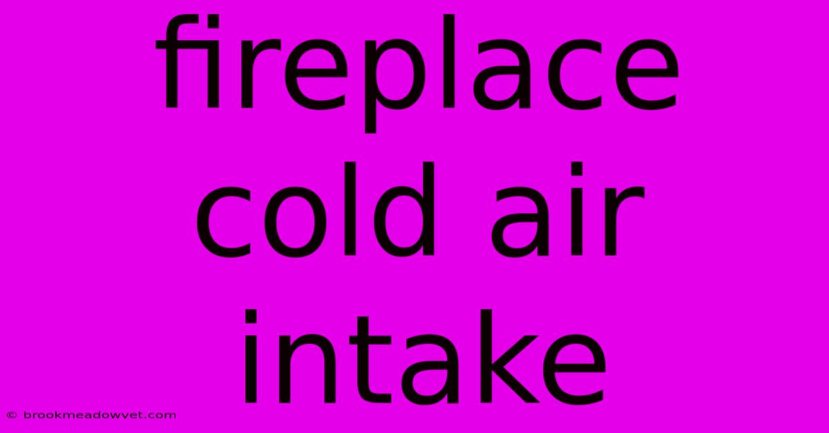 Fireplace Cold Air Intake