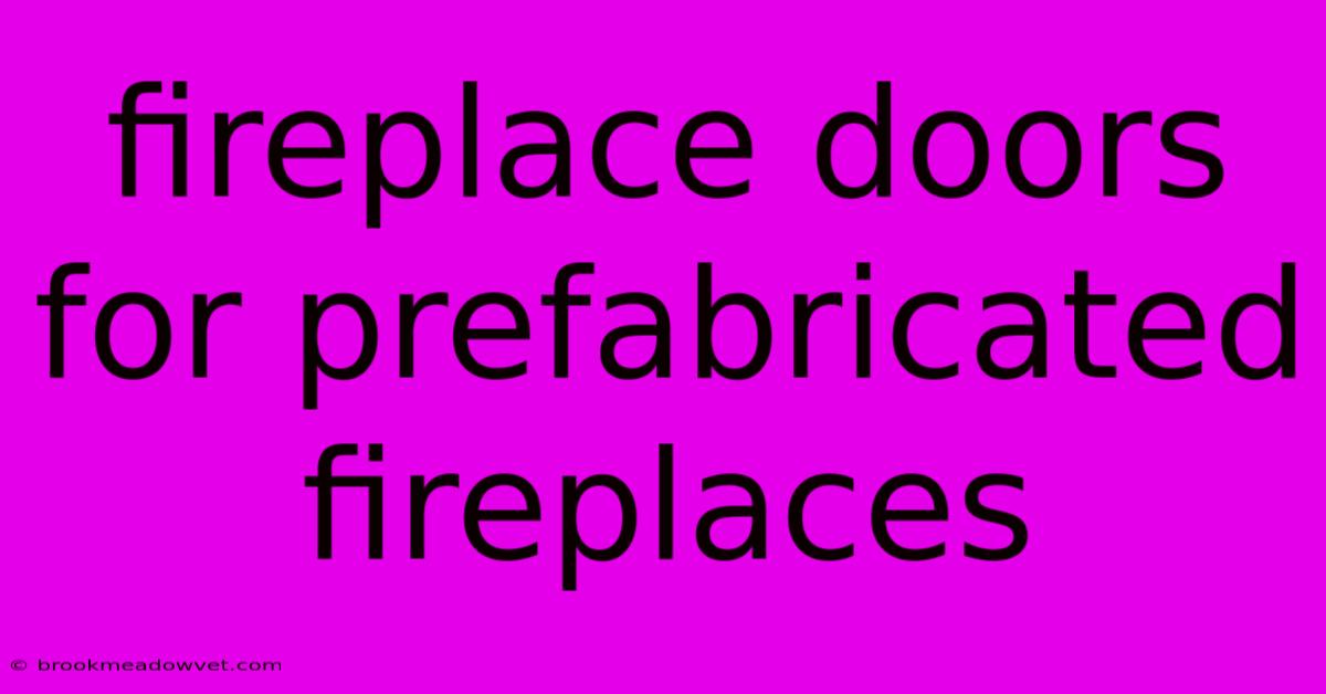 Fireplace Doors For Prefabricated Fireplaces