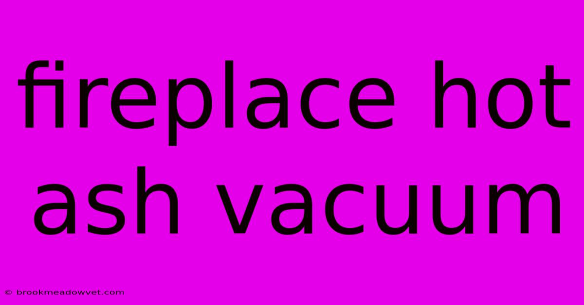 Fireplace Hot Ash Vacuum