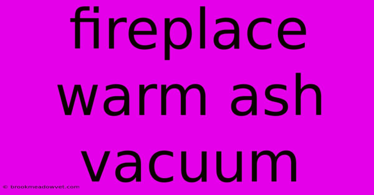 Fireplace Warm Ash Vacuum