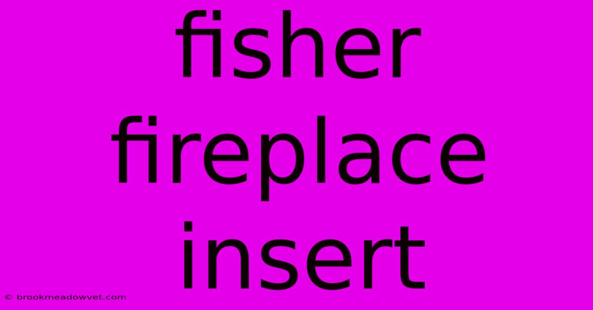 Fisher Fireplace Insert