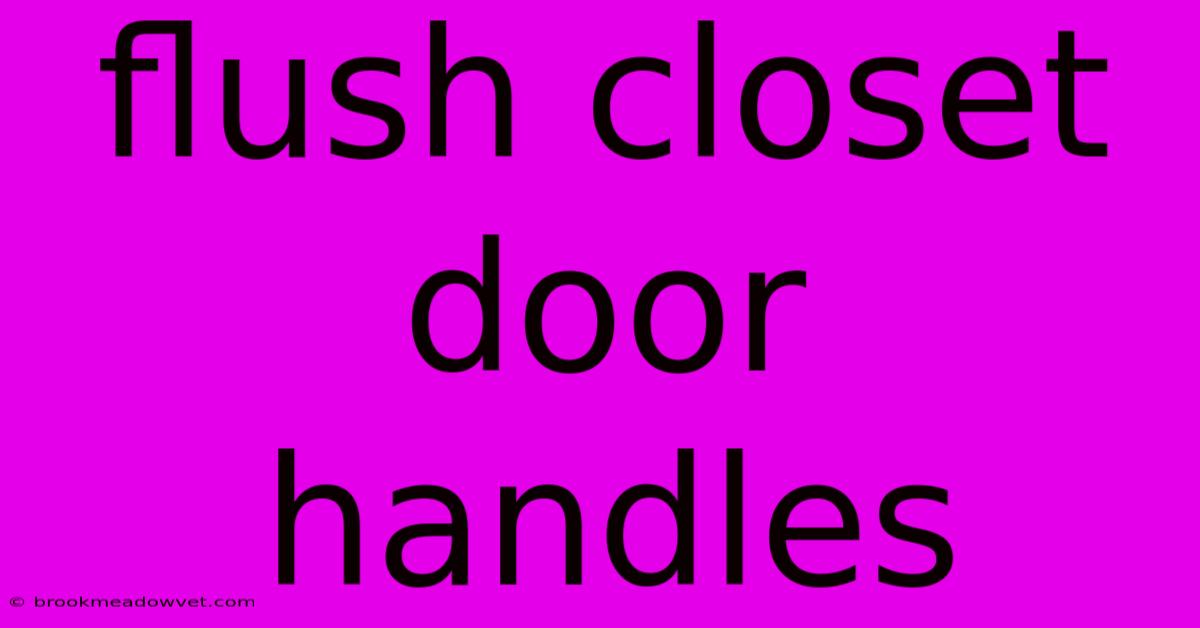 Flush Closet Door Handles