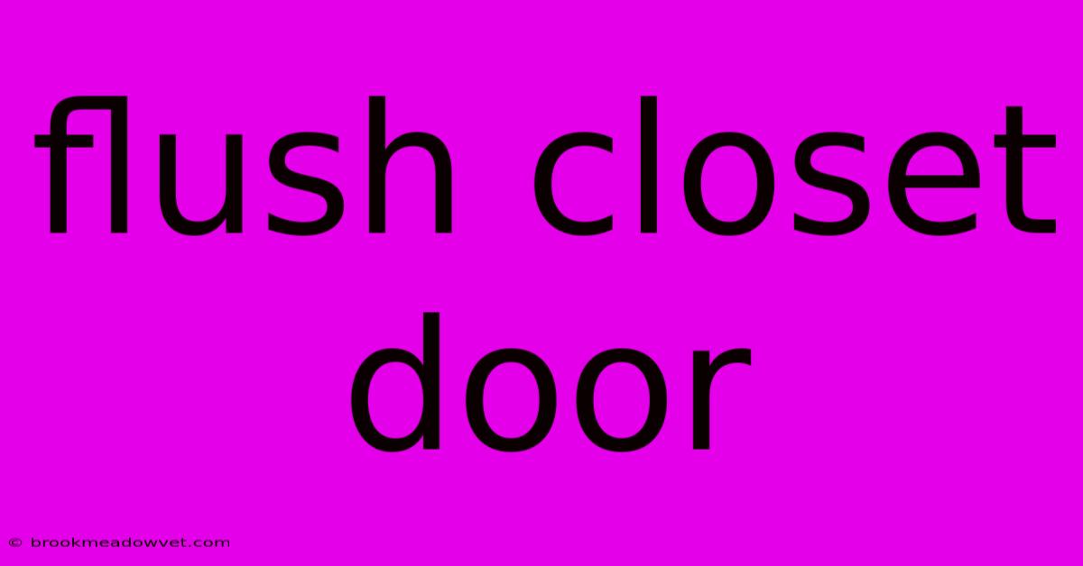 Flush Closet Door