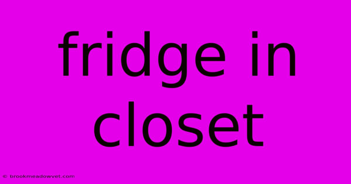 Fridge In Closet