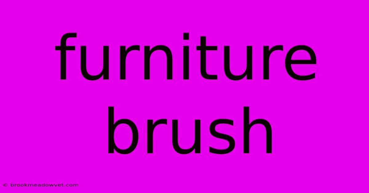 Furniture Brush