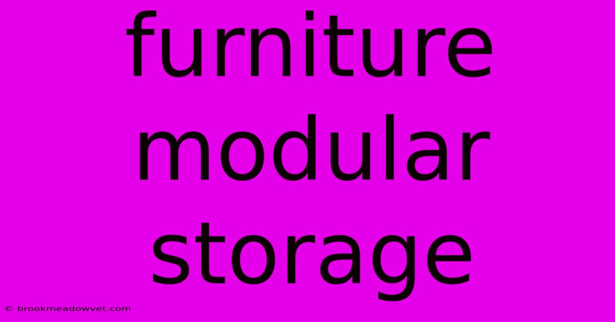 Furniture Modular Storage