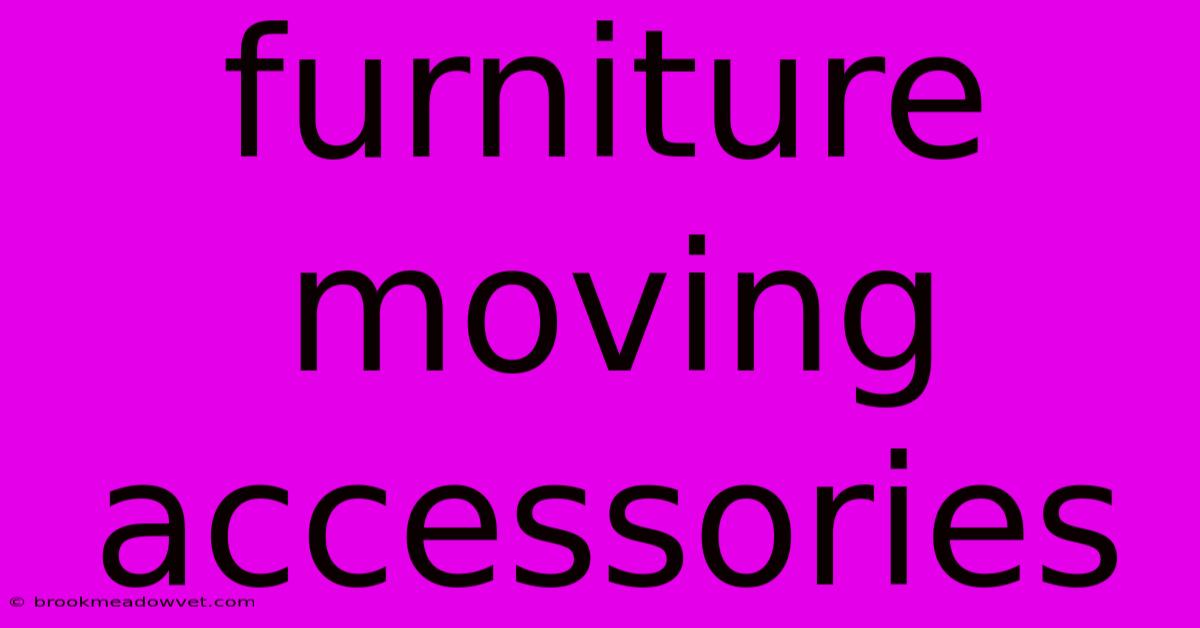 Furniture Moving Accessories