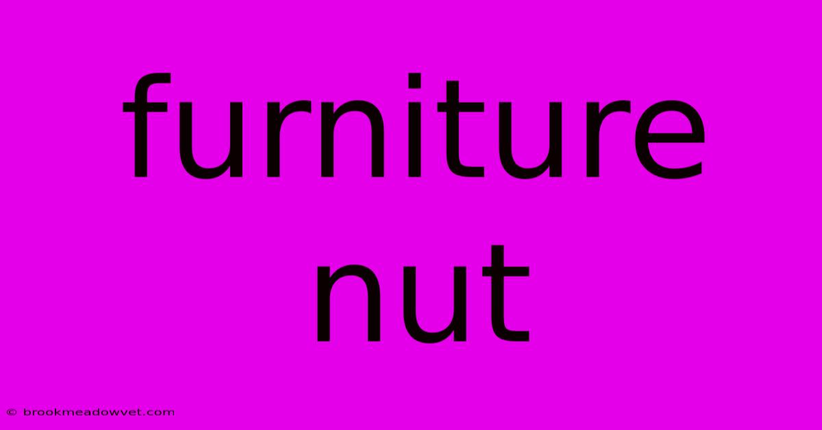 Furniture Nut