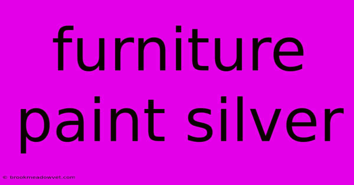 Furniture Paint Silver