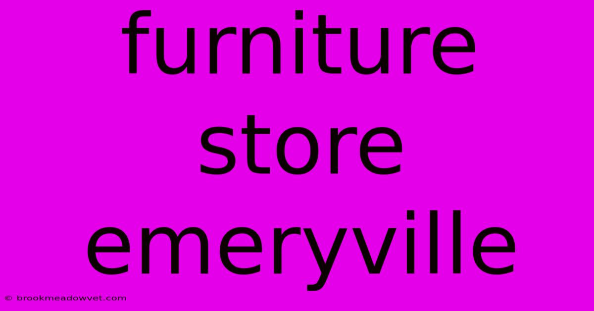 Furniture Store Emeryville