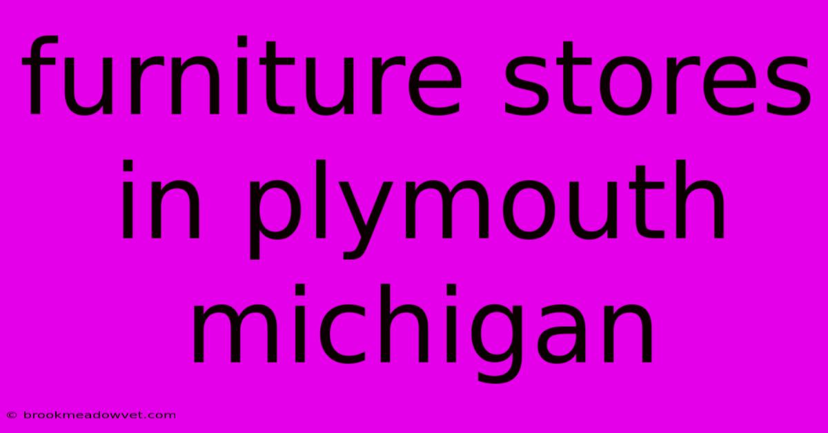 Furniture Stores In Plymouth Michigan