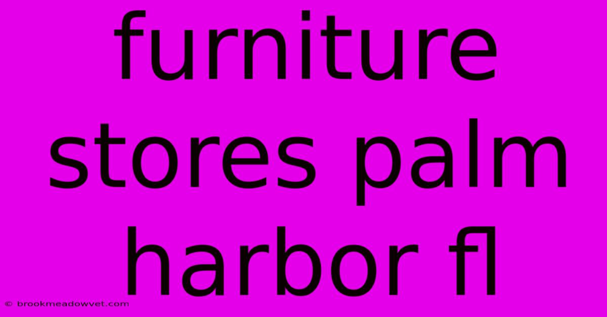 Furniture Stores Palm Harbor Fl