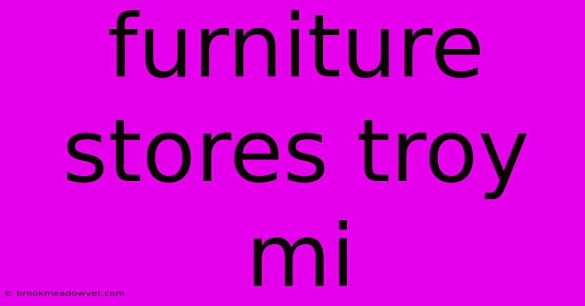 Furniture Stores Troy Mi