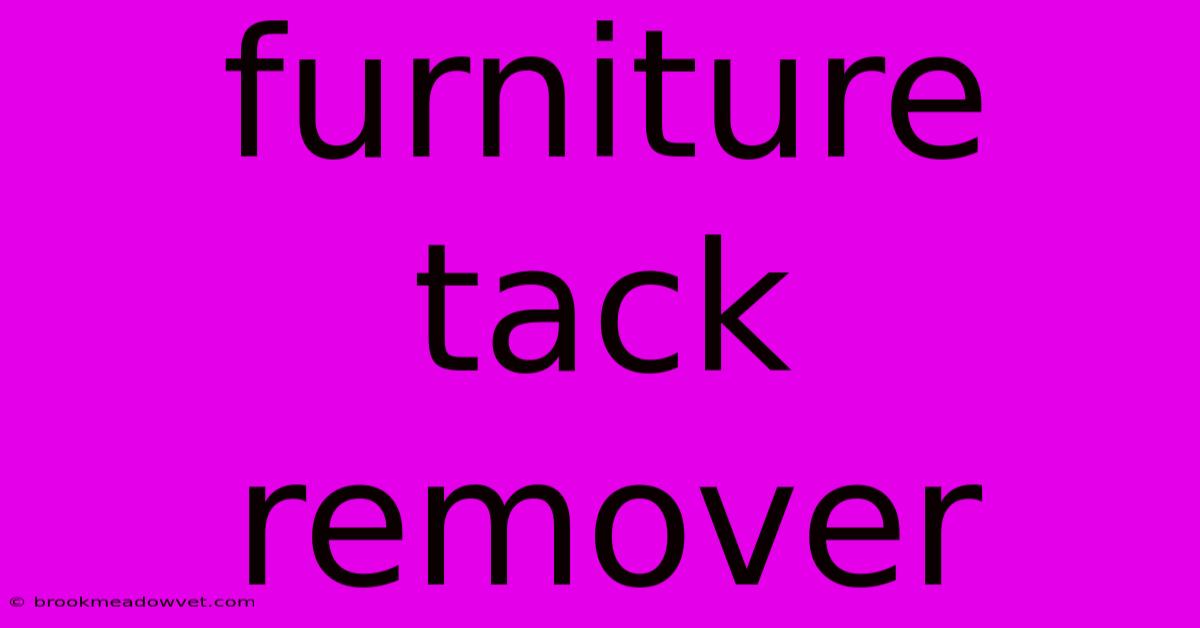 Furniture Tack Remover